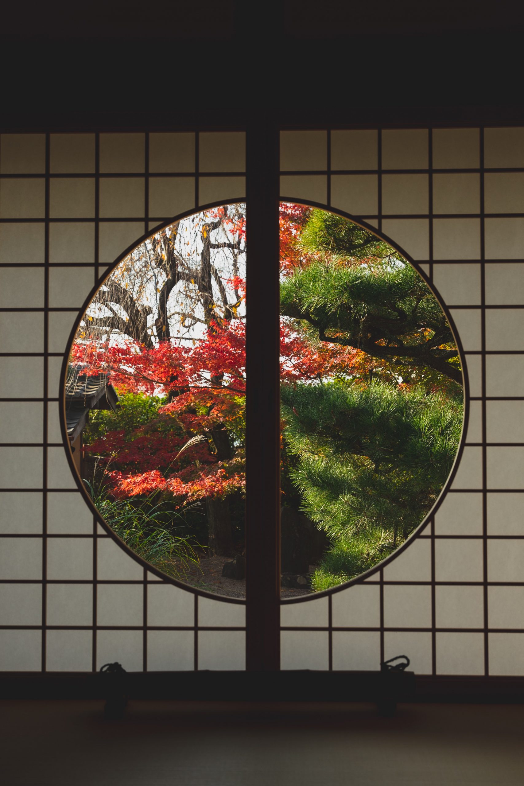 Médecine Chinoise Paris 10 Trouvez votre praticien / Sinothérapie